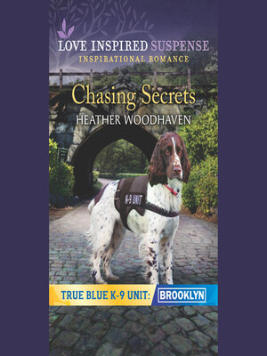 cover image of Chasing Secrets